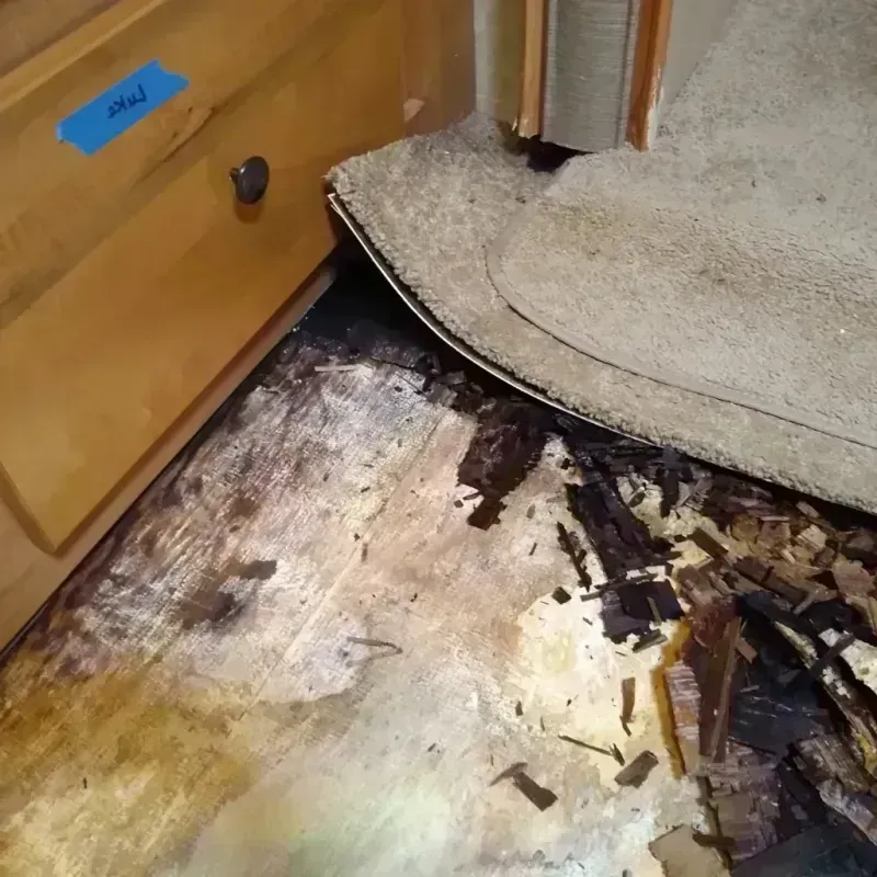 Wood Floor Water Damage in Waukesha County, WI